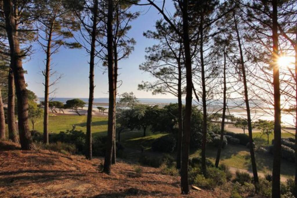 Appart Sur La Plage Pied Dans L Eau Avec Terrasse Jardin Vue Sur Le Bassin Depuis La Terrasse , Parking Arcachon Exterior photo