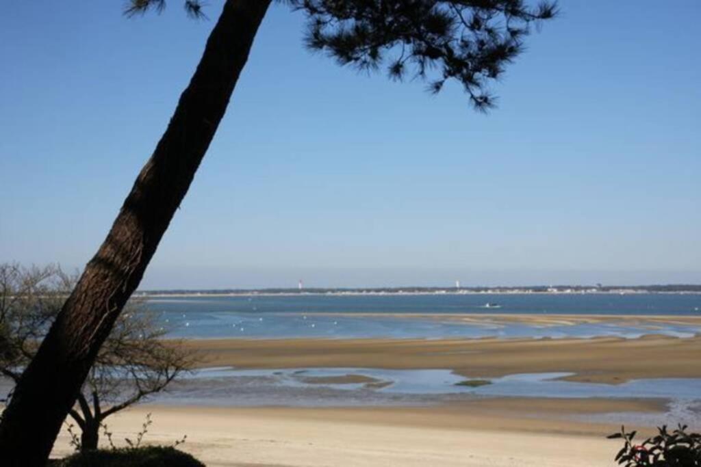 Appart Sur La Plage Pied Dans L Eau Avec Terrasse Jardin Vue Sur Le Bassin Depuis La Terrasse , Parking Arcachon Exterior photo