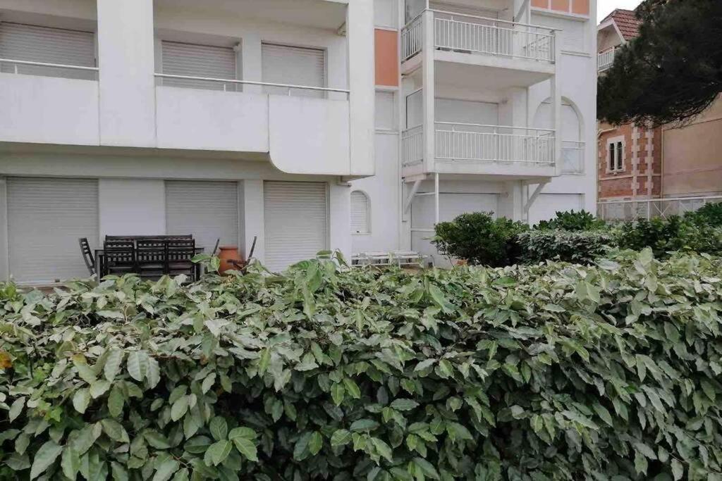Appart Sur La Plage Pied Dans L Eau Avec Terrasse Jardin Vue Sur Le Bassin Depuis La Terrasse , Parking Arcachon Exterior photo