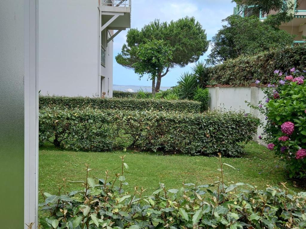 Appart Sur La Plage Pied Dans L Eau Avec Terrasse Jardin Vue Sur Le Bassin Depuis La Terrasse , Parking Arcachon Exterior photo